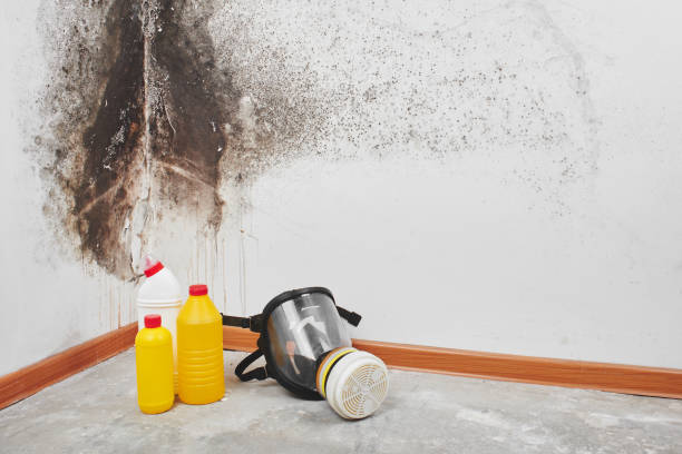 Best Professional Mold Removal  in Danbury, TX