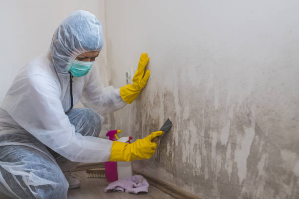 Best Residential Mold Removal  in Danbury, TX