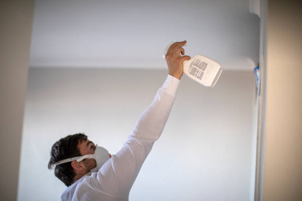 Best Certified Mold Removal  in Danbury, TX