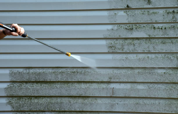 Best Commercial Mold Removal  in Danbury, TX