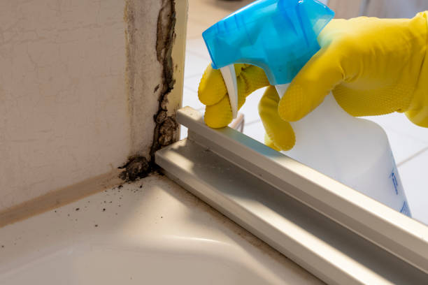 Best Mold Cleaning Services  in Danbury, TX