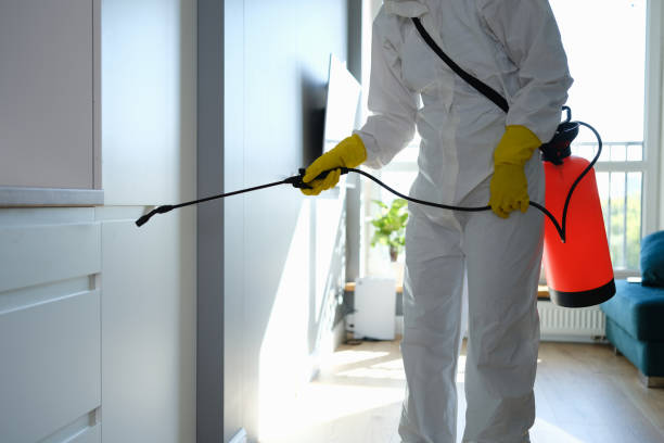 Best Toxic Mold Removal  in Danbury, TX