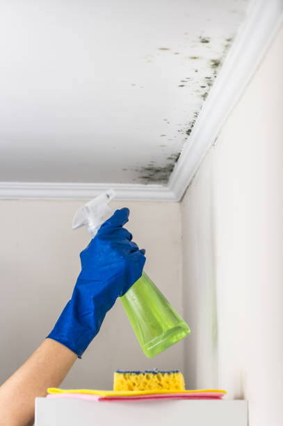 Best Mold Testing  in Danbury, TX